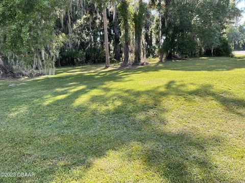 Picture of Land at Bass Ave 1604, Seville, FL
