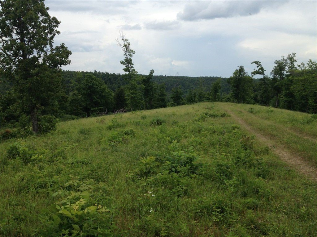 Picture 2
