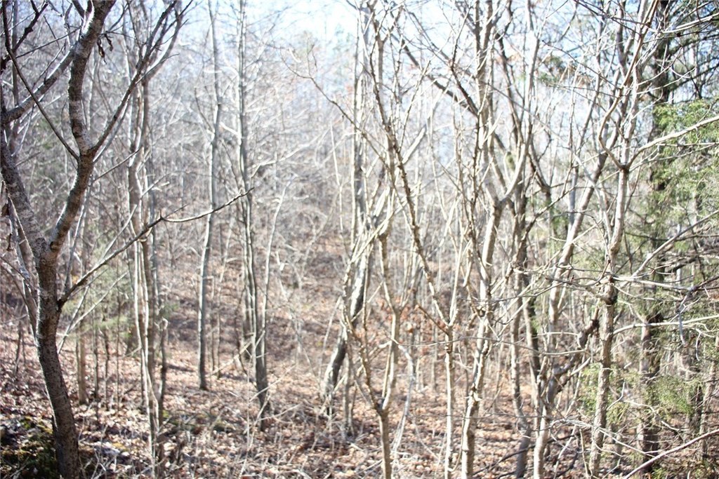Picture 13