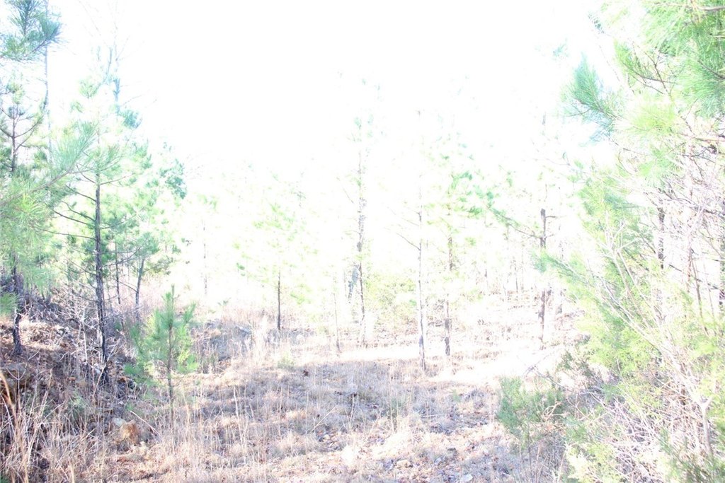 Picture 12