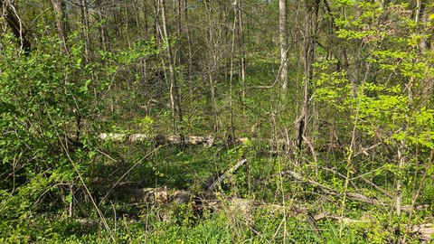 Land, Somerset, KY