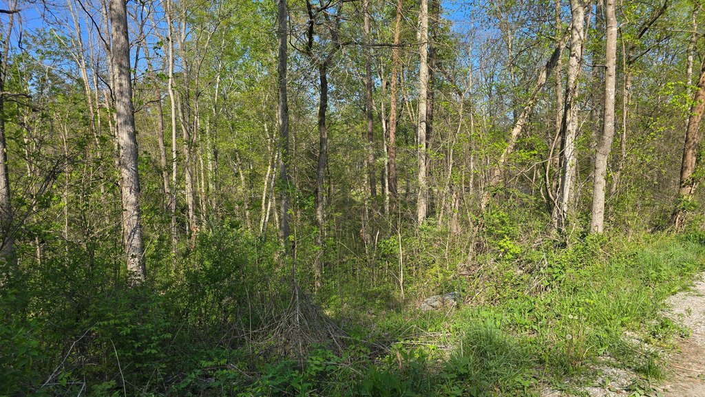 Picture 4