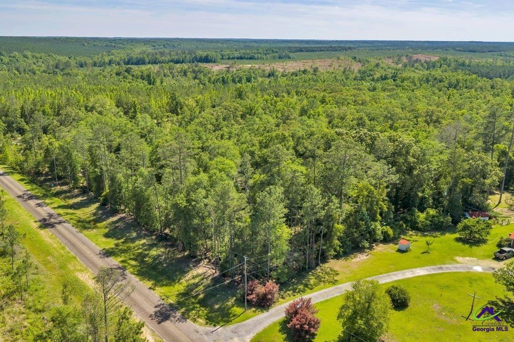 Picture 19