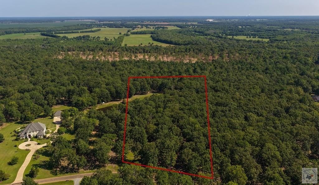 Picture 10