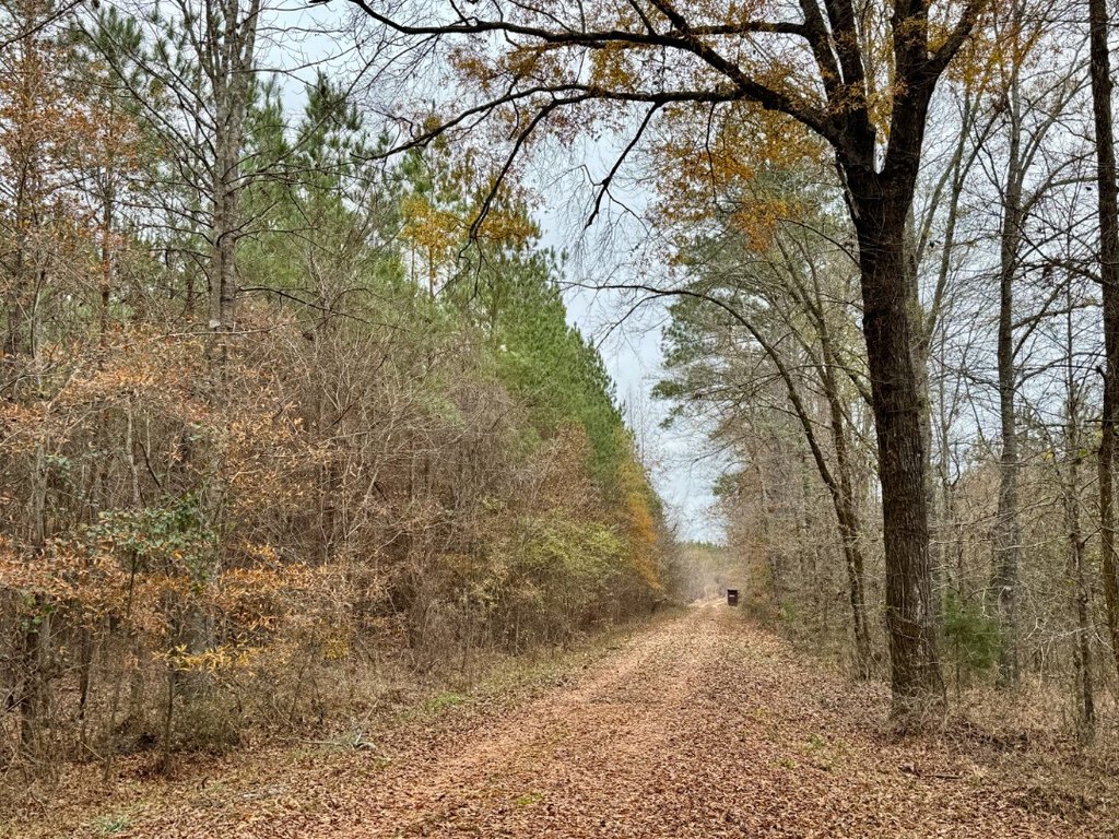Picture 21