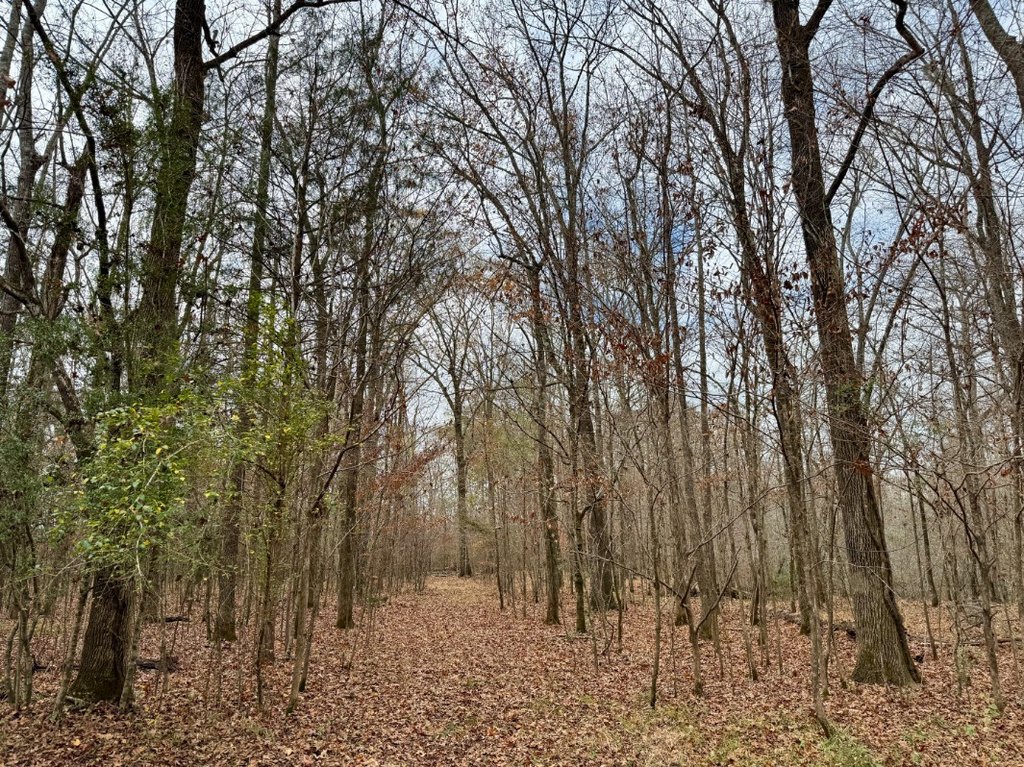 Picture 4
