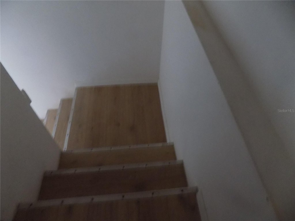 Picture 29