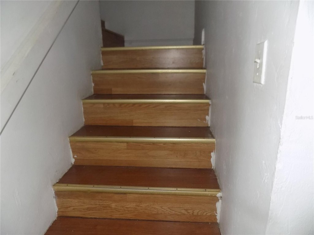Picture 42