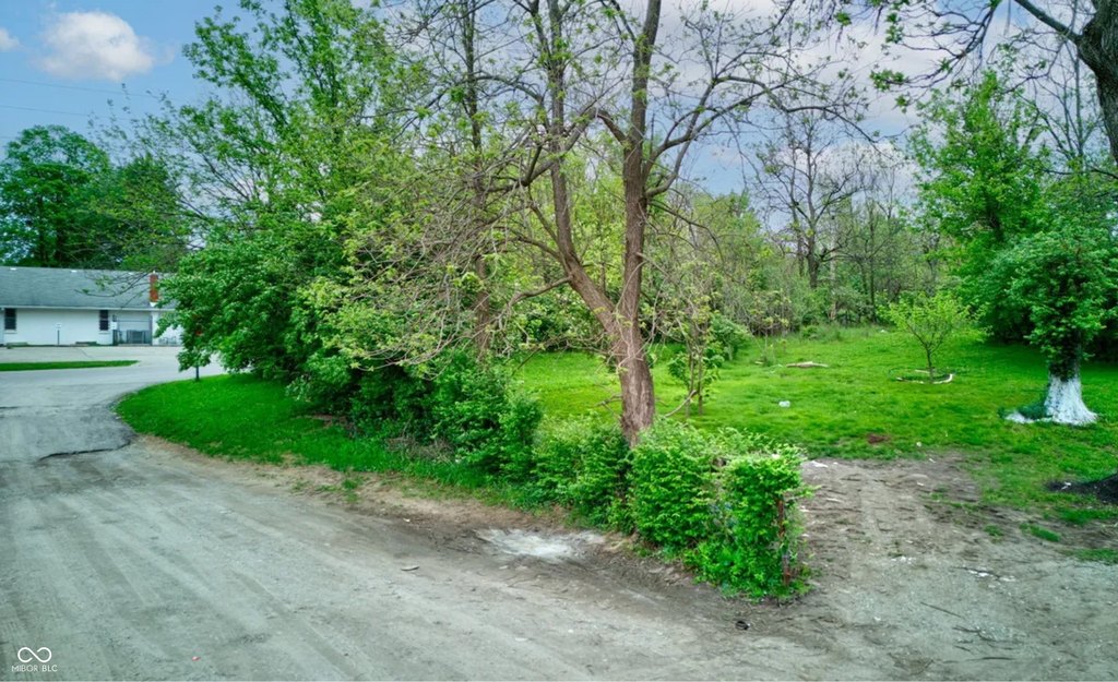 Picture 8