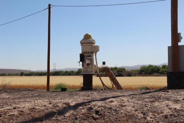 Picture 12