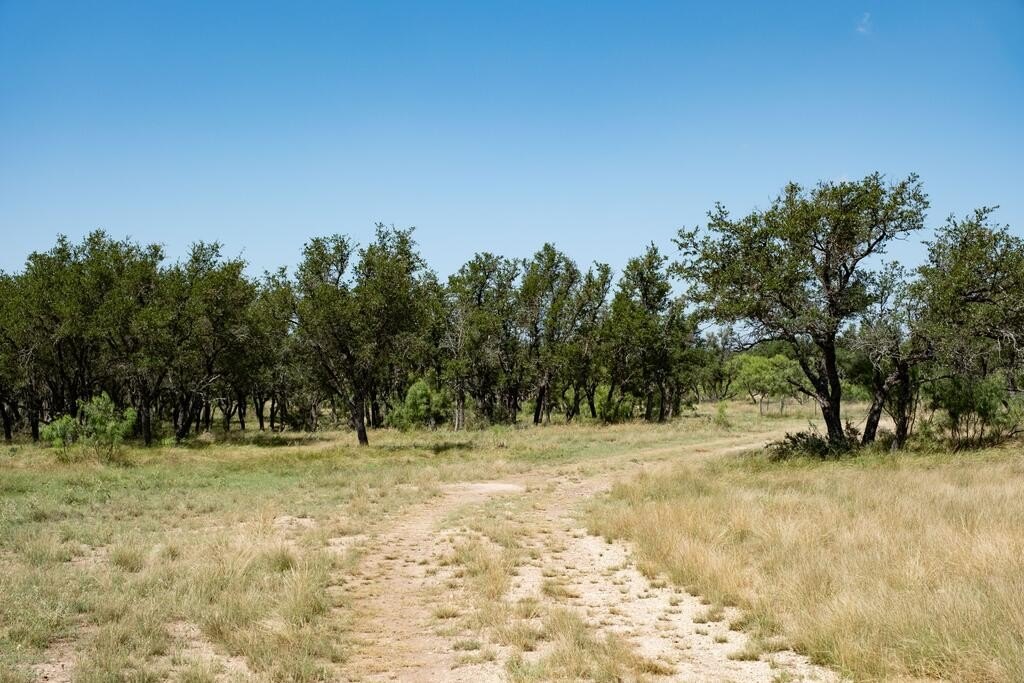 Picture 31