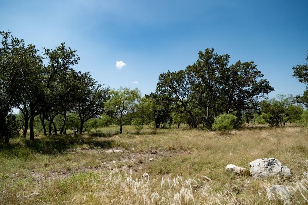 Picture 28