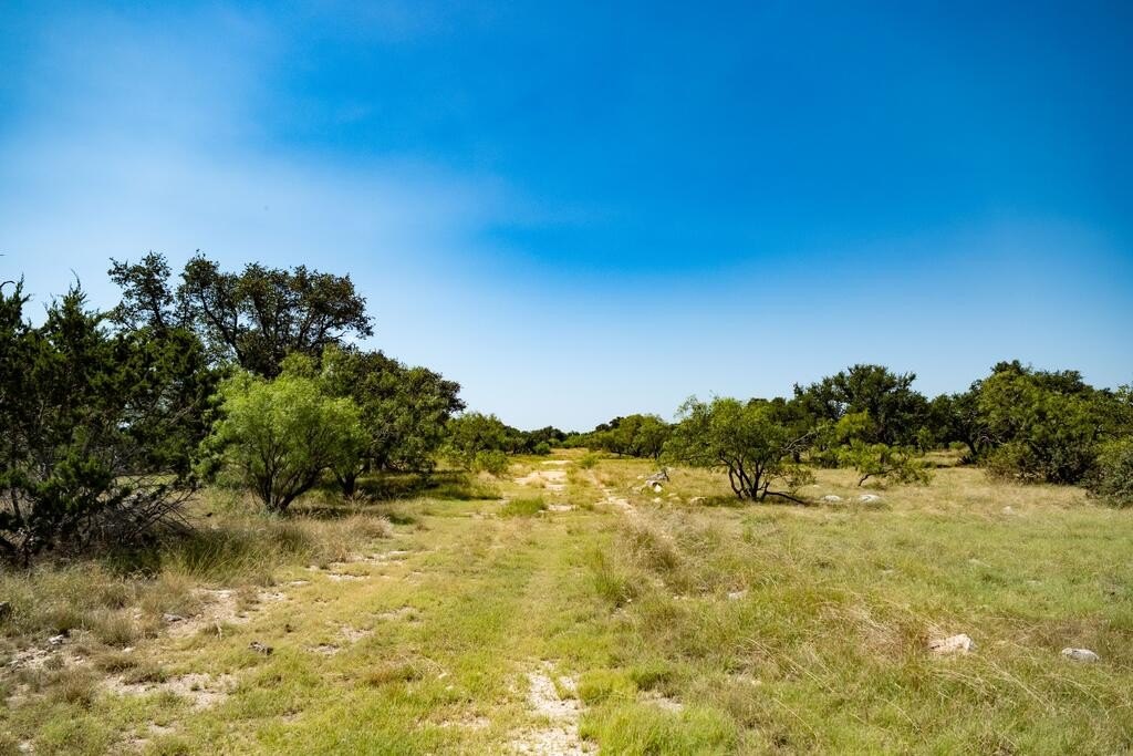 Picture 25