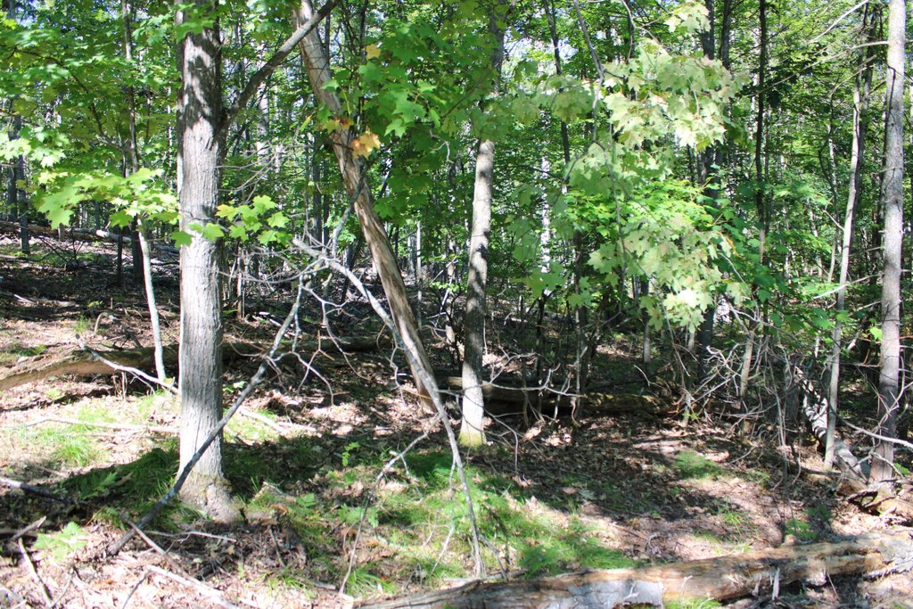 Picture 9