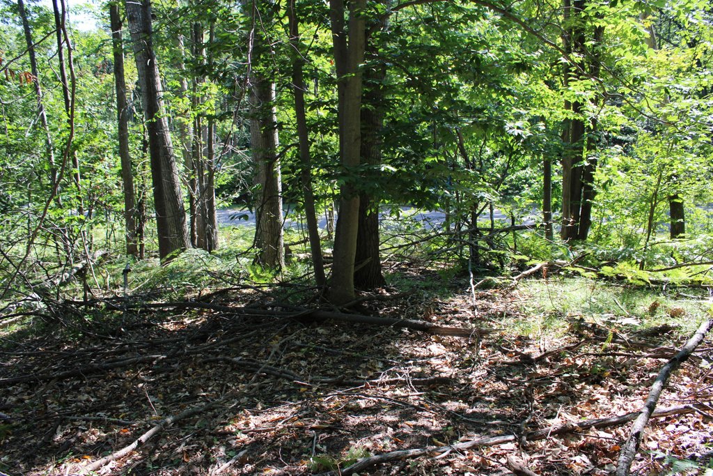 Picture 17