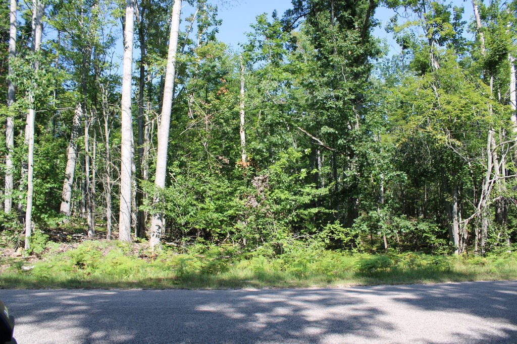 Picture 20