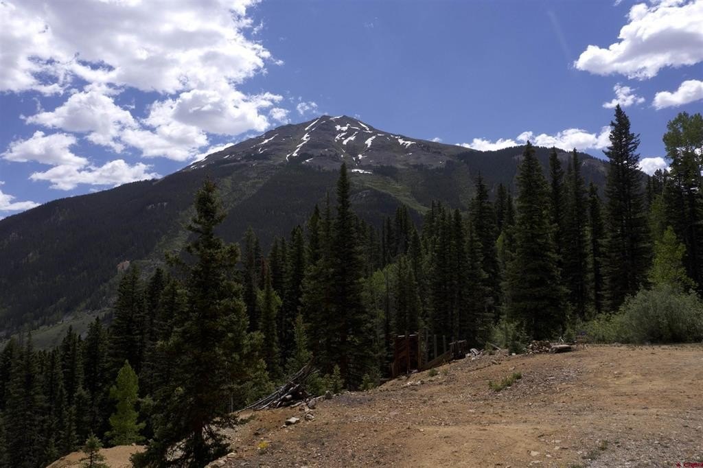 Picture 14