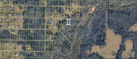 Residential Lot Near Lake Palestine