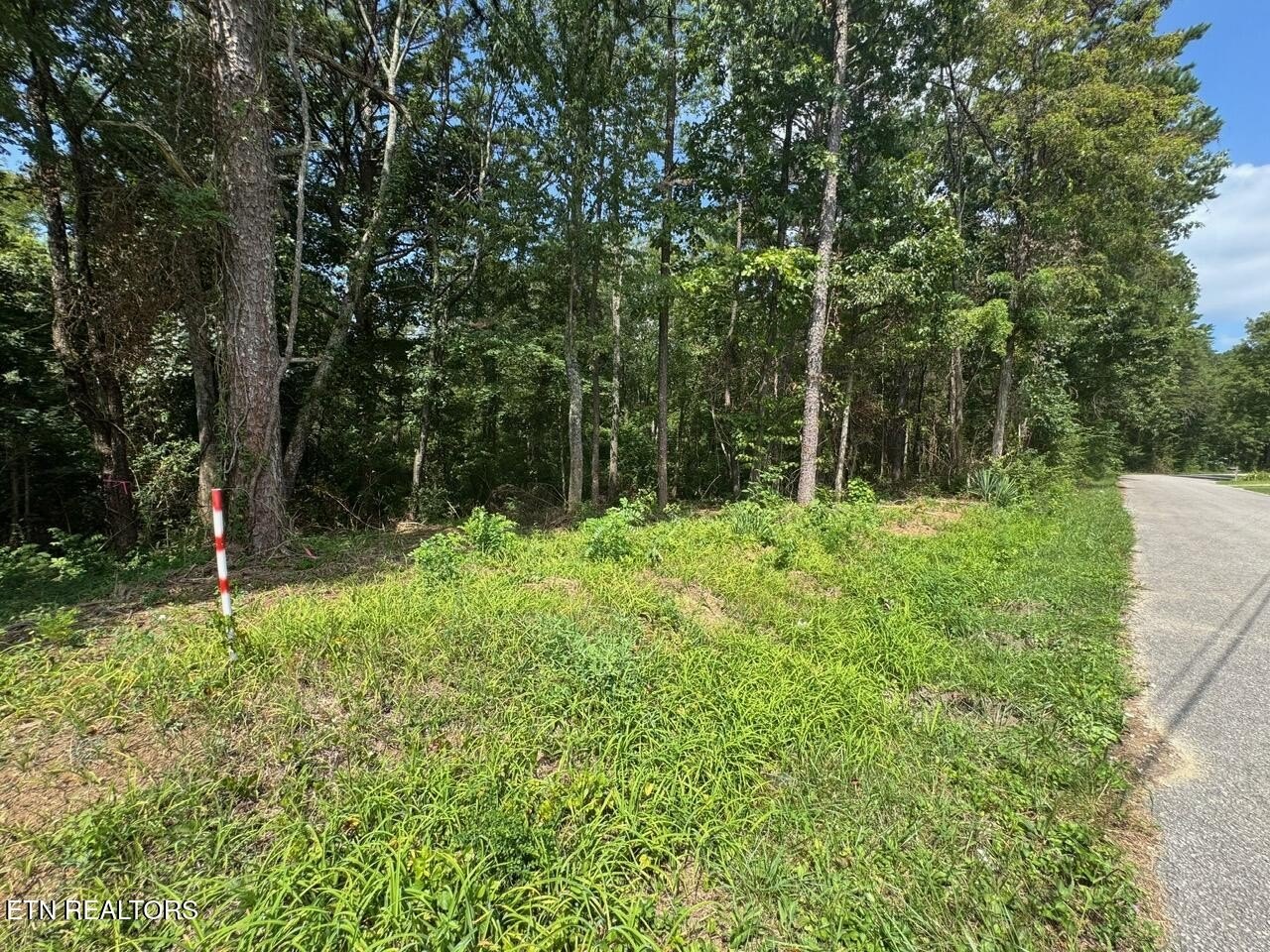 Wooded Land in Jamestown, TN