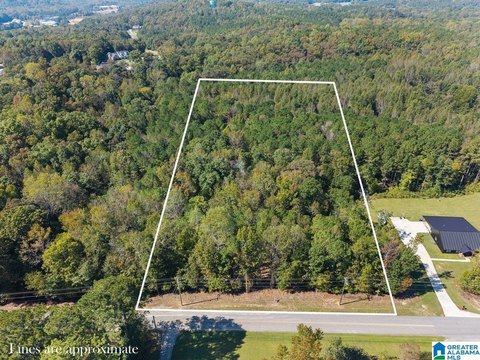 LAND/LOTS, ONEONTA, AL