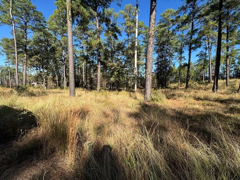 Acre Lot in Brookeland, TX
