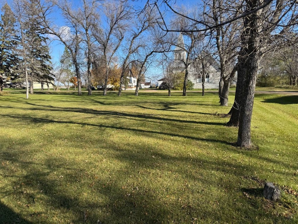 Picture 6