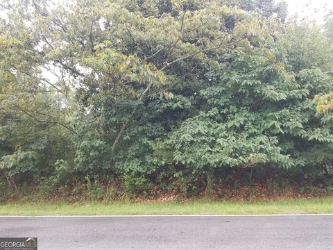 Residential Lot in Lithonia, GA