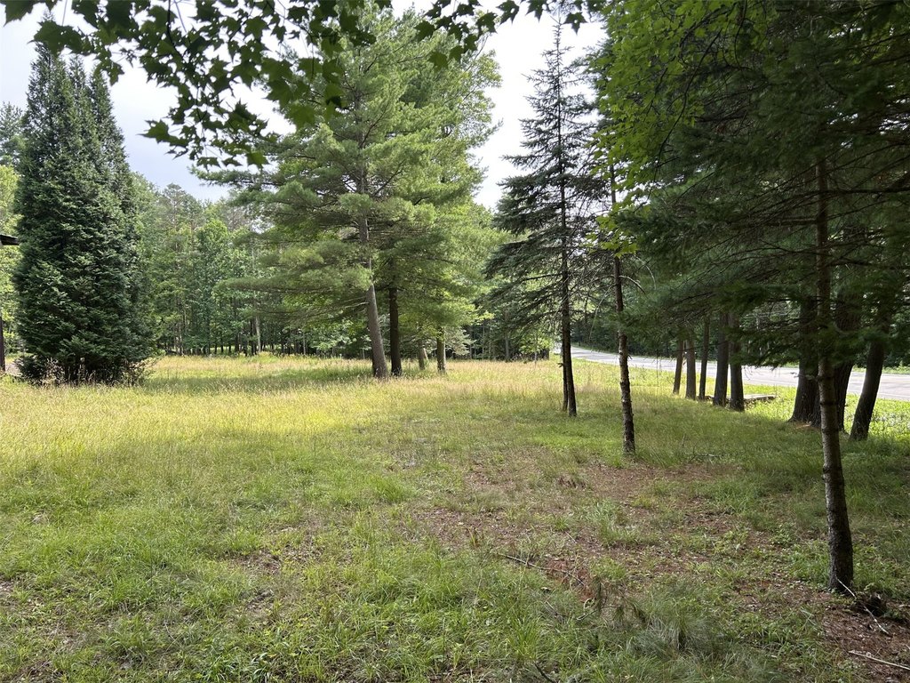 Picture 8
