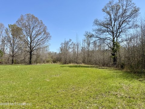 Land, Lexington, MS
