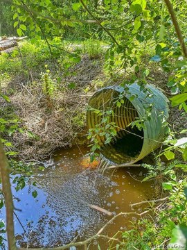 Warfield Land Parcel with Stream