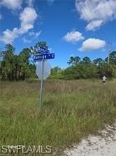 LAND - LEHIGH ACRES, FL