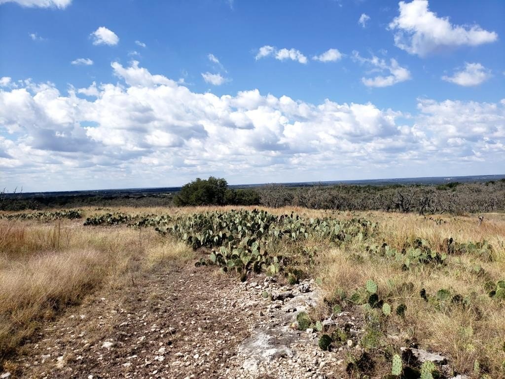 Harper, TX Land with Views