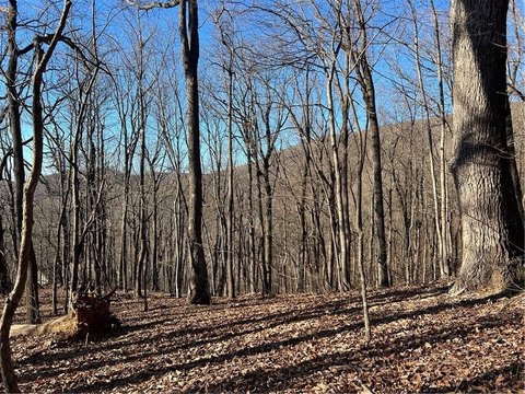 Gently Sloping Mountain View Lot