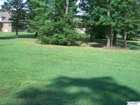 Residential Land in Scottsboro, AL