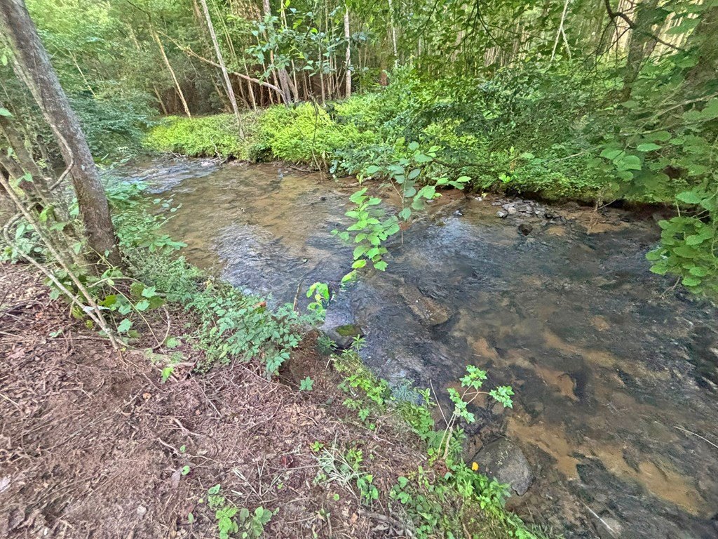 Picture 39
