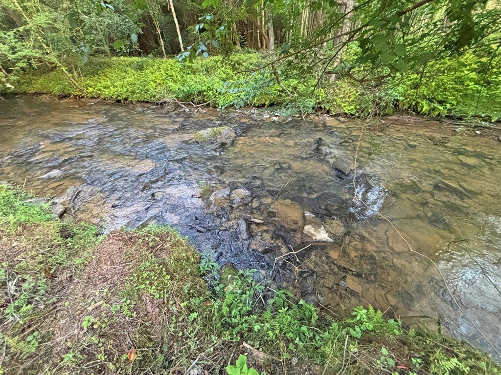Picture 45