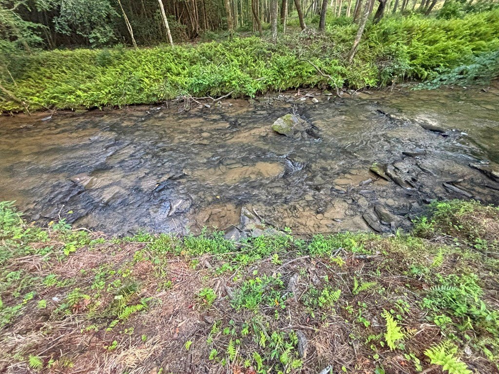 Picture 35