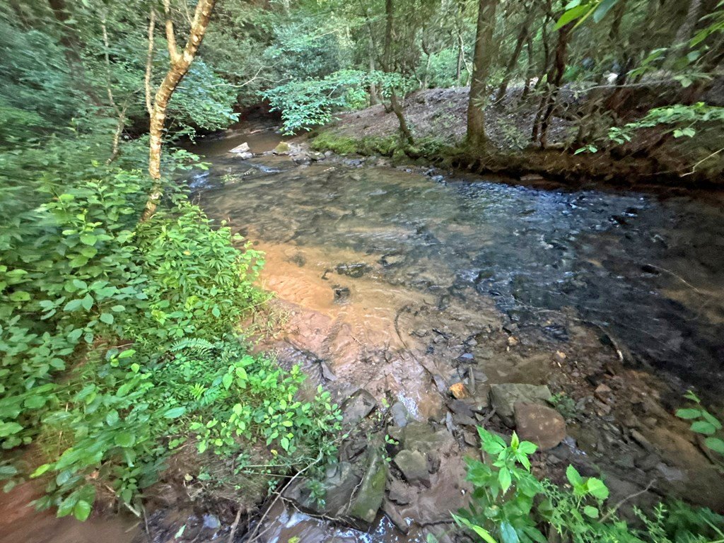 Picture 29