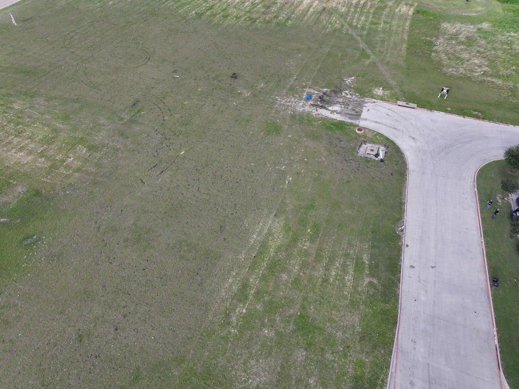 Picture 15