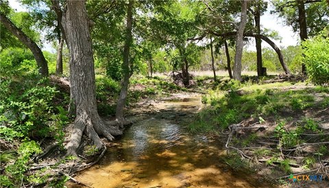 Ag-Exempt Hill Country Land Tract