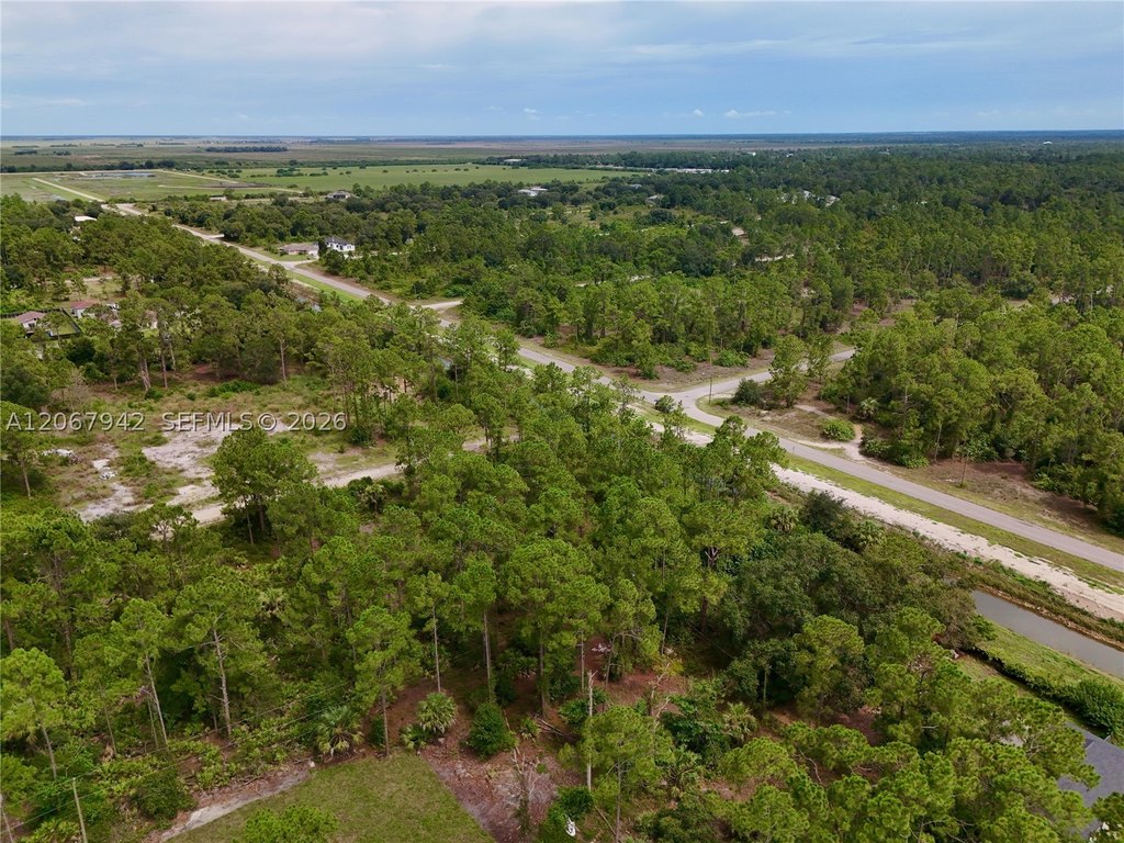 Picture 7