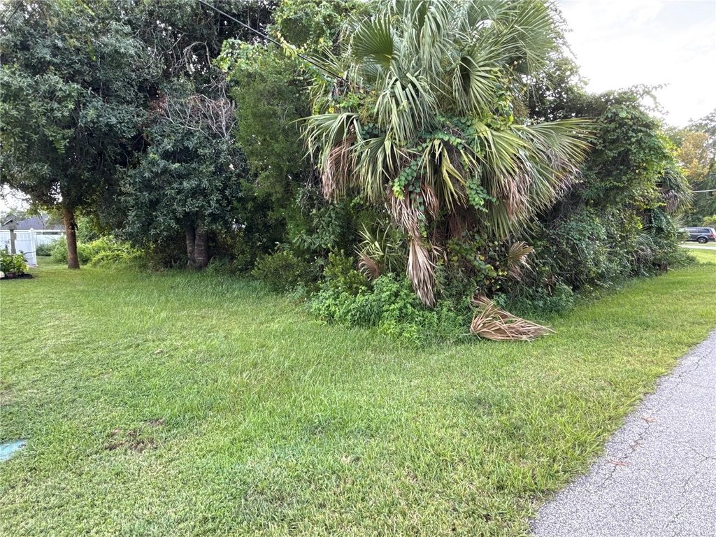 Picture 3