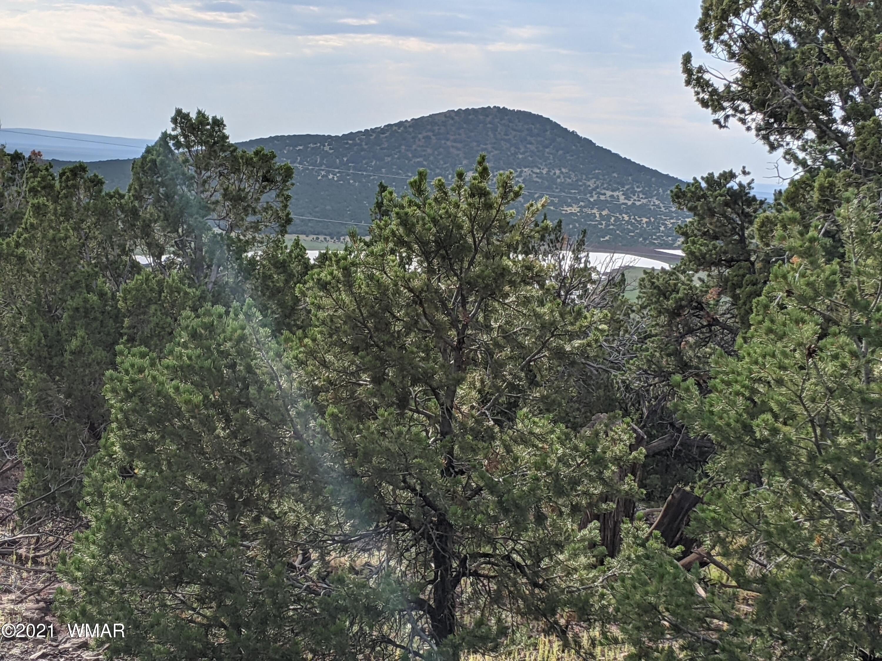 Vernon, AZ Land Opportunity