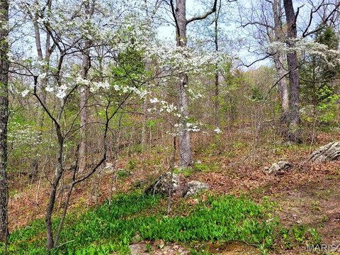 80 Acres with Rock Cabin