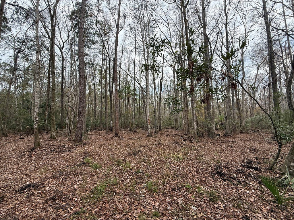 Picture 6