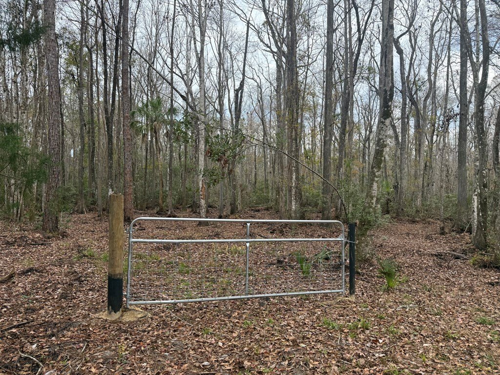 Picture 2