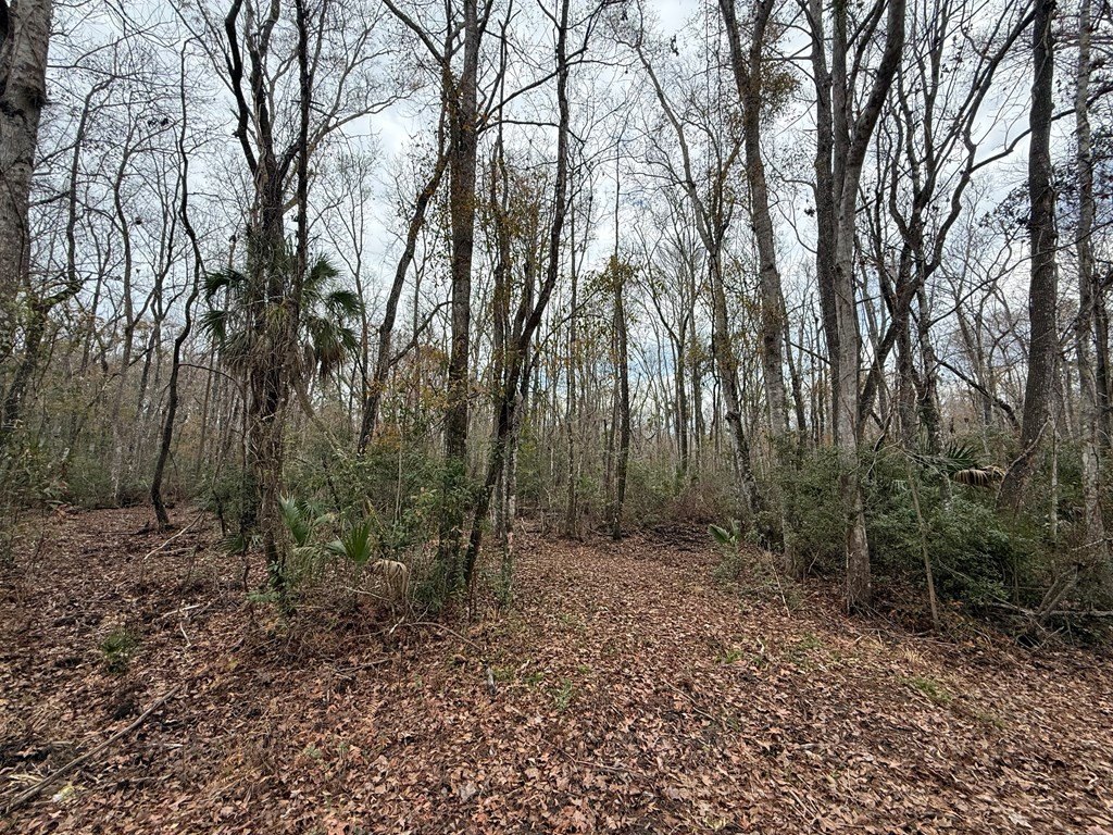 Picture 5