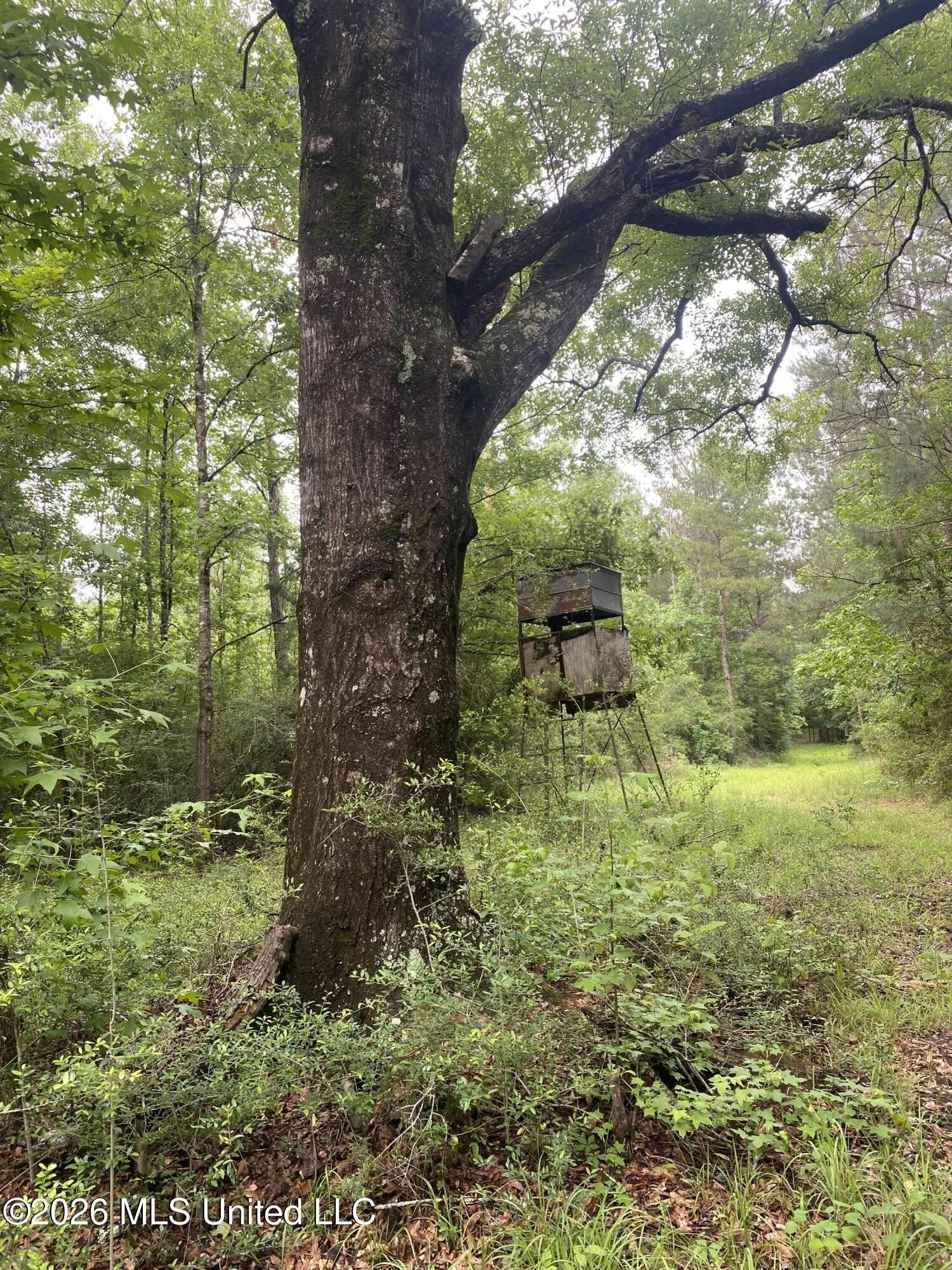 Secluded Hardwood Haven in Amite
