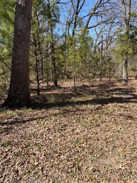 Residential Lot in Cedar Creek