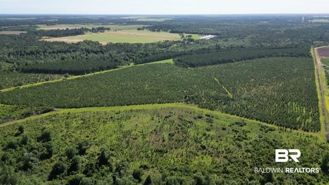 Timber Hunting Land